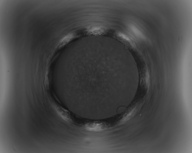 X0000084540647200703021445