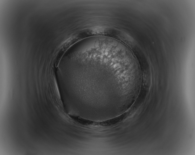 X0000084540648200703021445