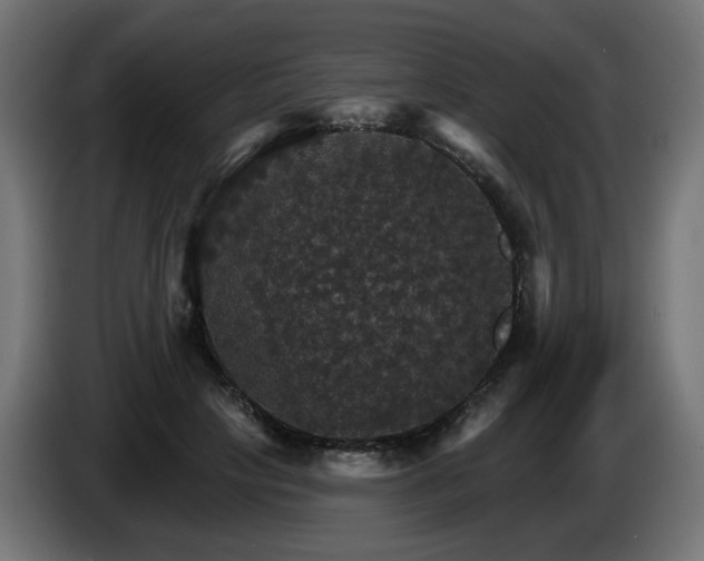 X0000084540649200703021445