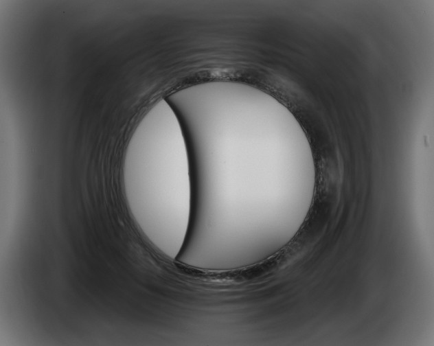 X0000084540650200703021445