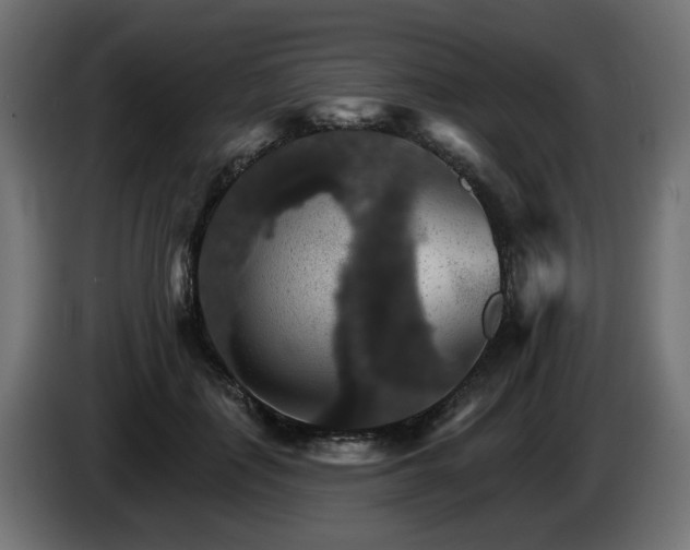 X0000084540651200703021445