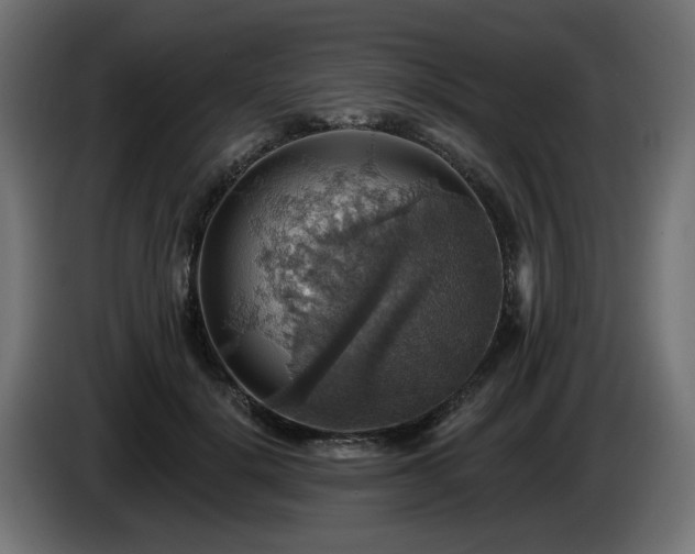 X0000084540652200703021445