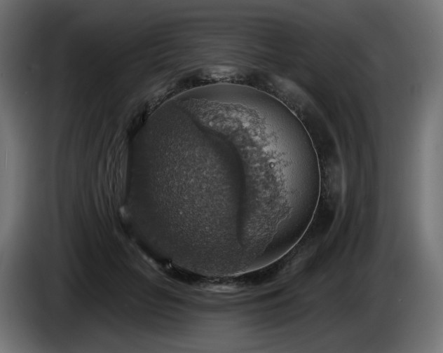 X0000084540653200703021445