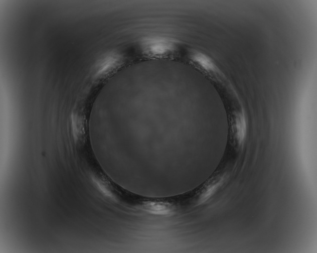 X0000084540654200703021445