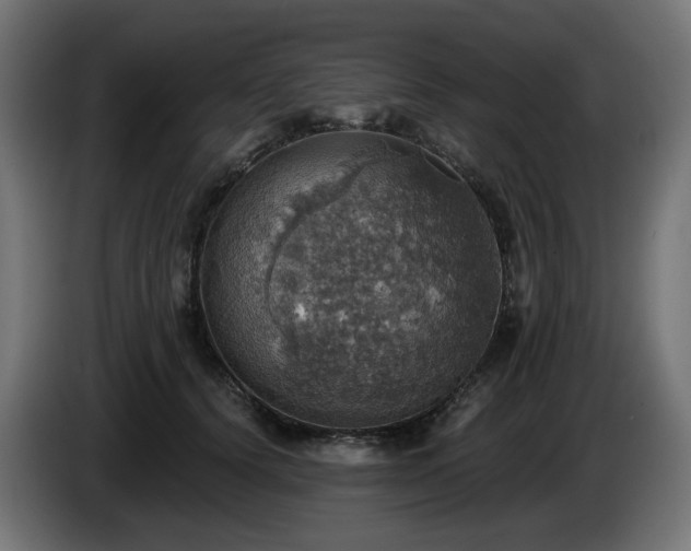 X0000084540656200703021445