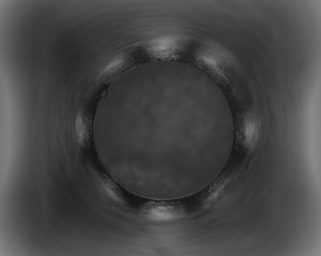 X0000084540658200703021445