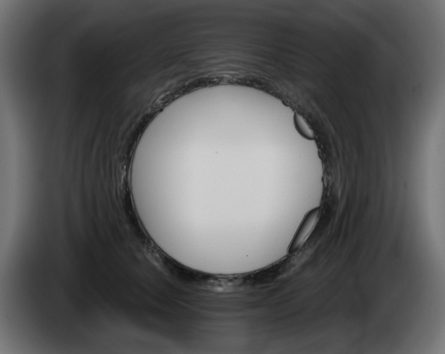 X0000084540660200703021445