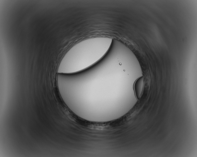 X0000084540661200703021445