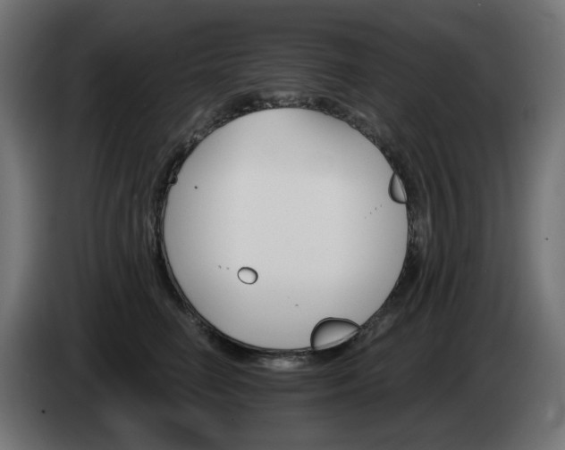 X0000084540662200703021445