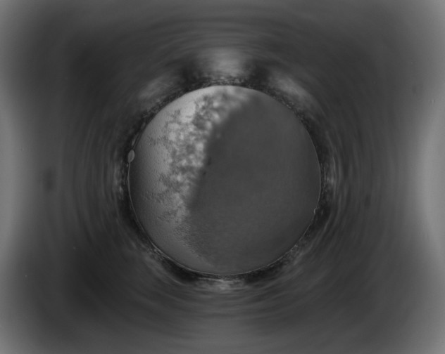 X0000084540663200703021445