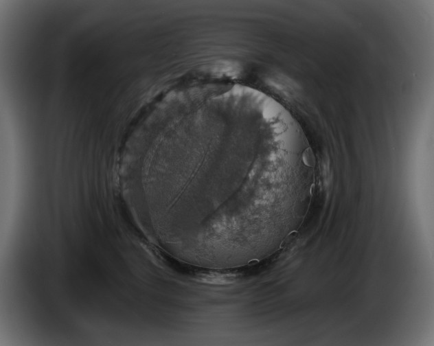 X0000084540664200703021445