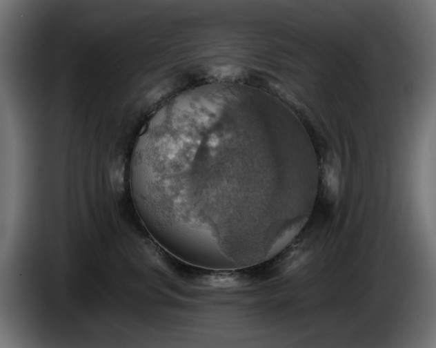 X0000084540668200703021445