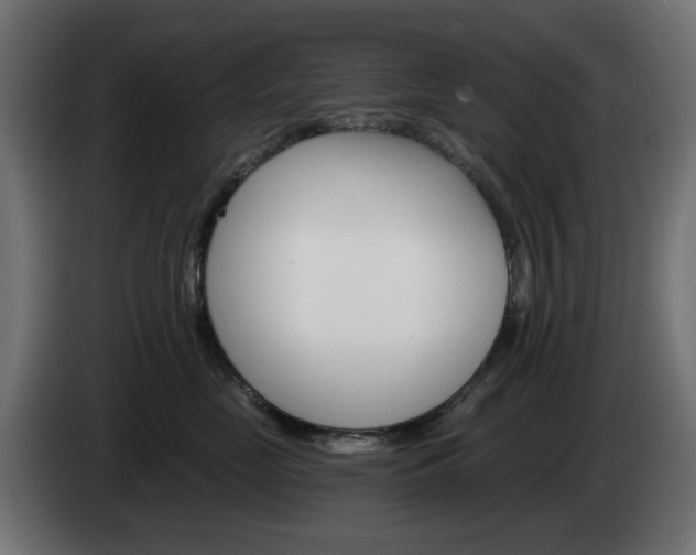 X0000084540669200703021445