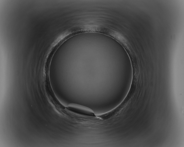 X0000084540674200703021444