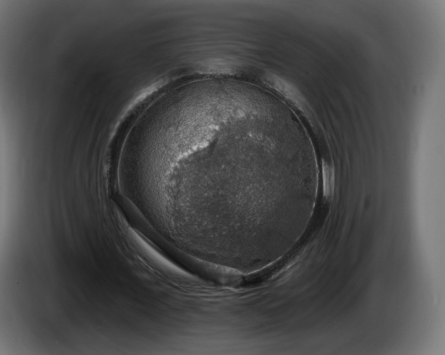 X0000084540675200703021444