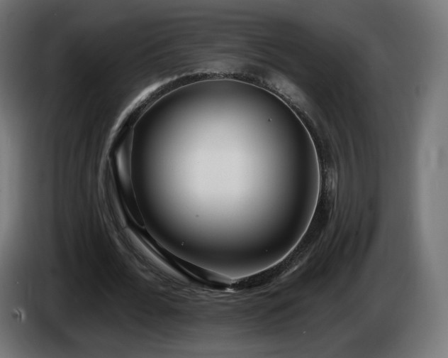 X0000084540676200703021444