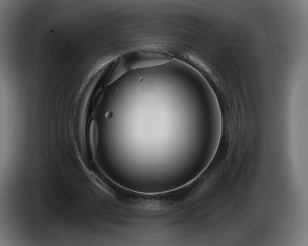 X0000084540677200703021444