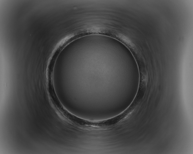 X0000084540678200703021444