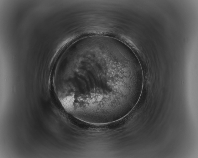 X0000084540679200703021444