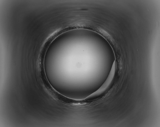 X0000084540680200703021444