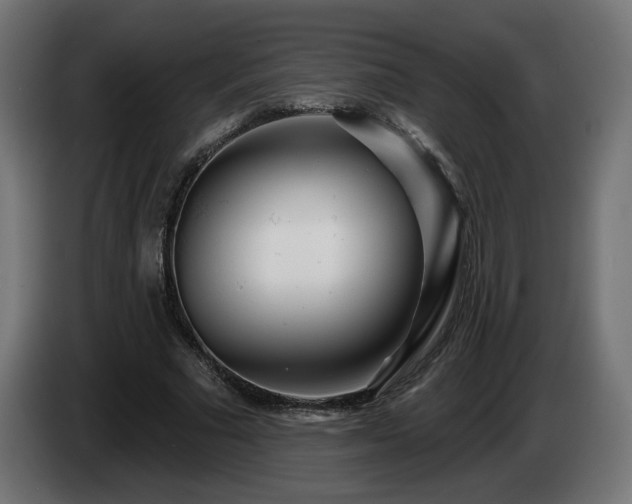 X0000084540681200703021444