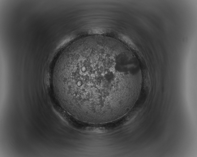 X0000084540683200703021444