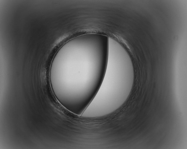 X0000084540684200703021444