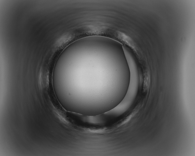 X0000084540685200703021444