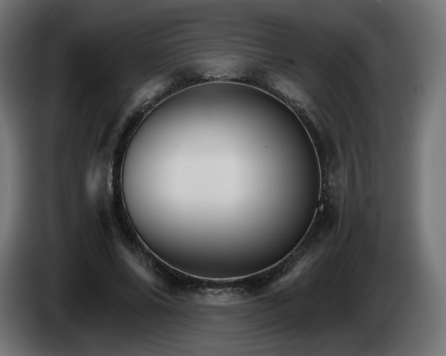 X0000084540686200703021444