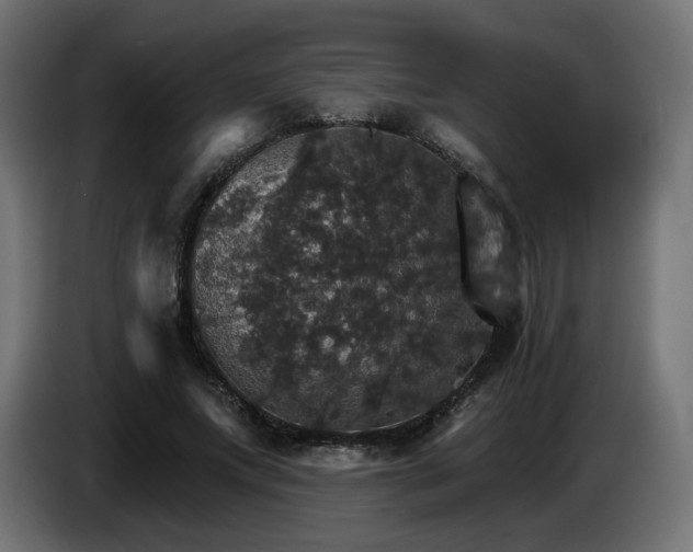 X0000084540687200703021444