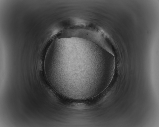 X0000084540689200703021444