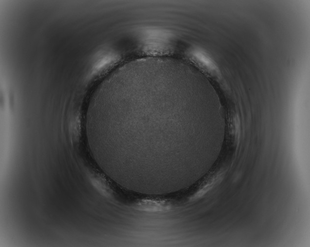 X0000084540690200703021444