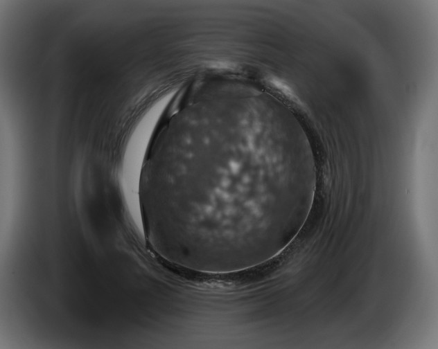 X0000084540691200703021444