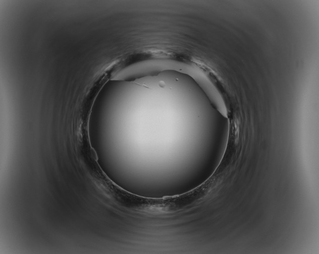 X0000084540692200703021444