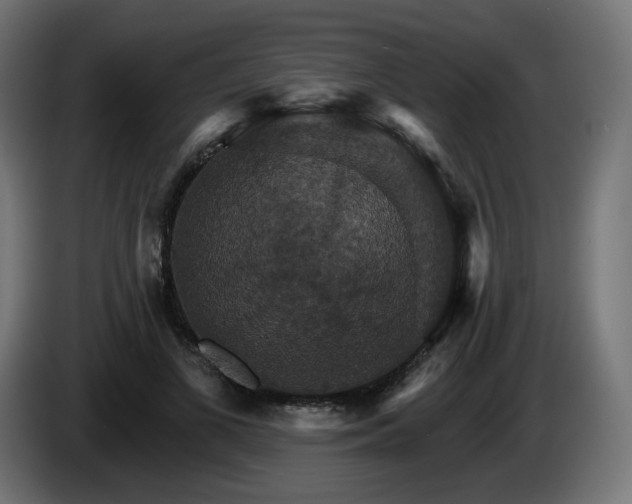 X0000084540693200703021444