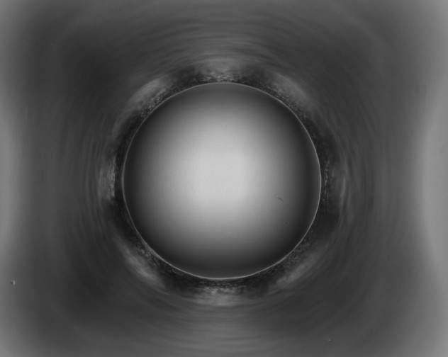 X0000084540694200703021444