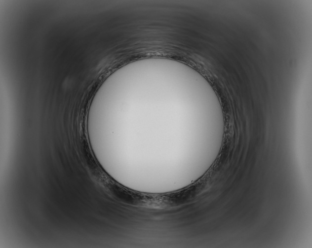 X0000084540695200703021444