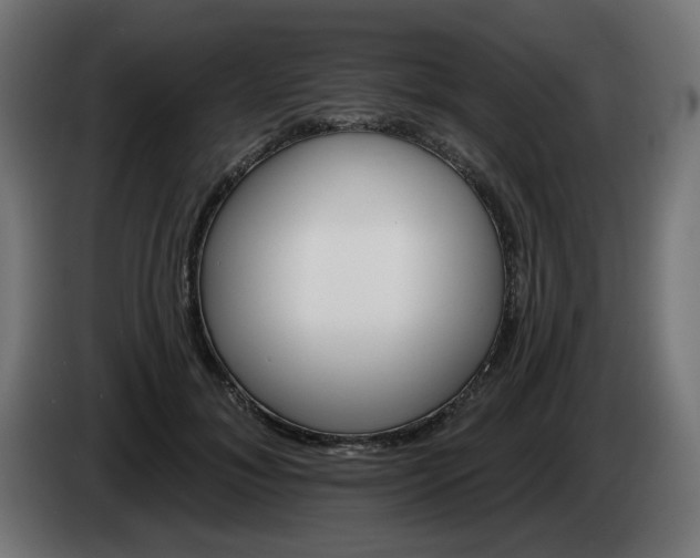 X0000084540700200703021444