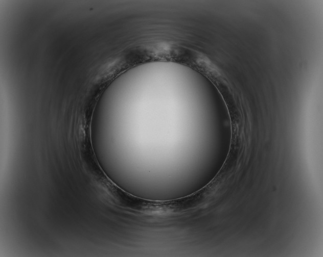 X0000084540702200703021444