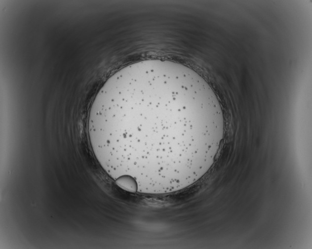 X0000084540703200703021444