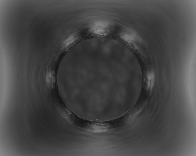 X0000084540707200703021444