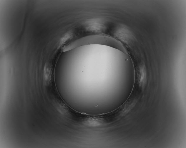 X0000084540708200703021444