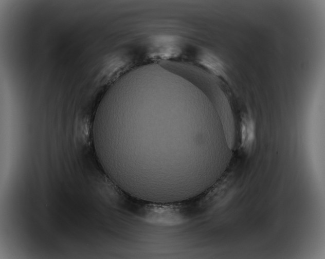 X0000084540709200703021444