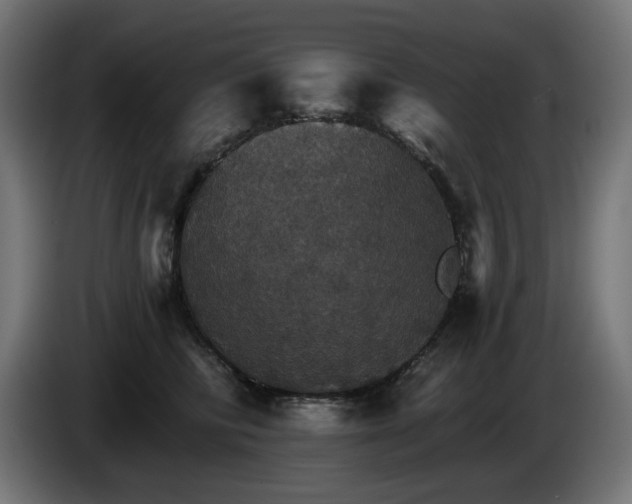 X0000084540710200703021444