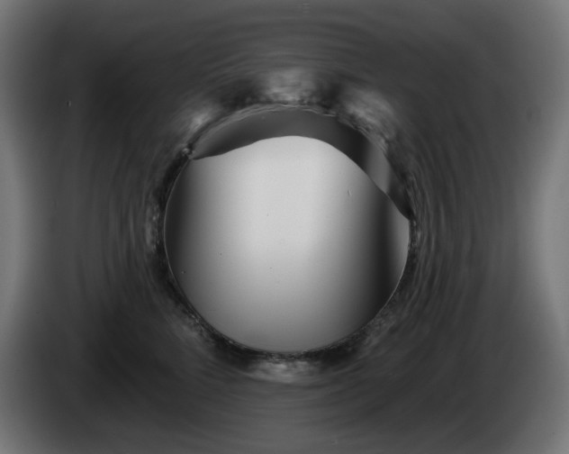 X0000084540712200703021444