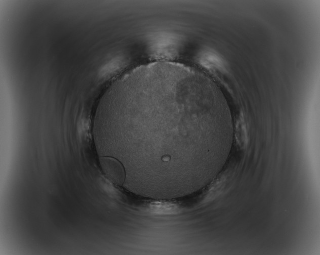 X0000084540714200703021444