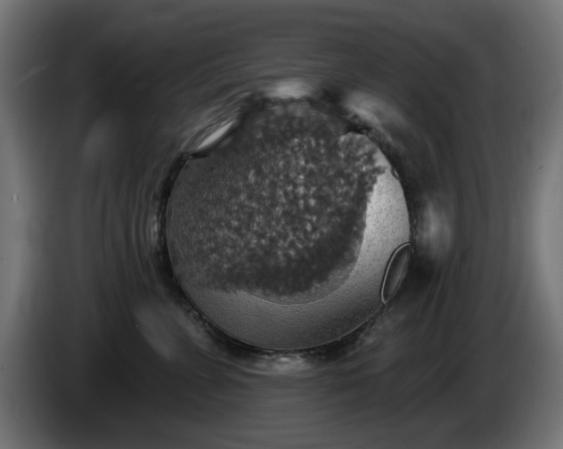 X0000084540715200703021444