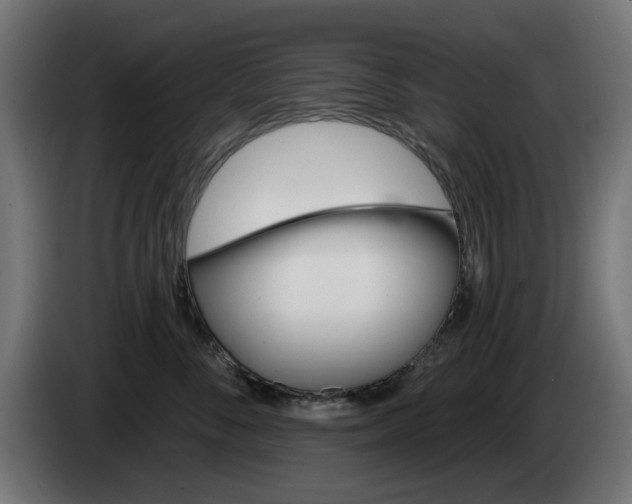 X0000084540716200703021444