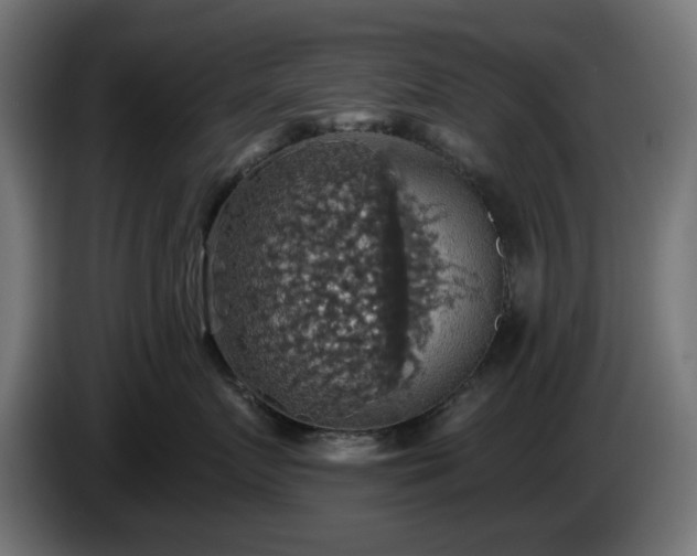 X0000084540719200703021443