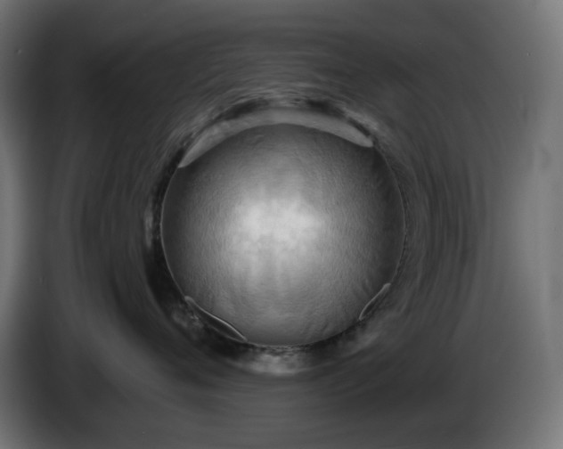 X0000084540720200703021443